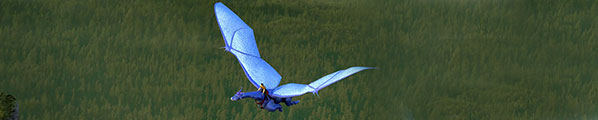 dragons