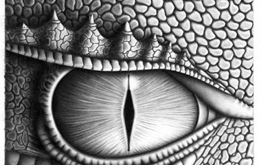 Saphira's eye, articles about art