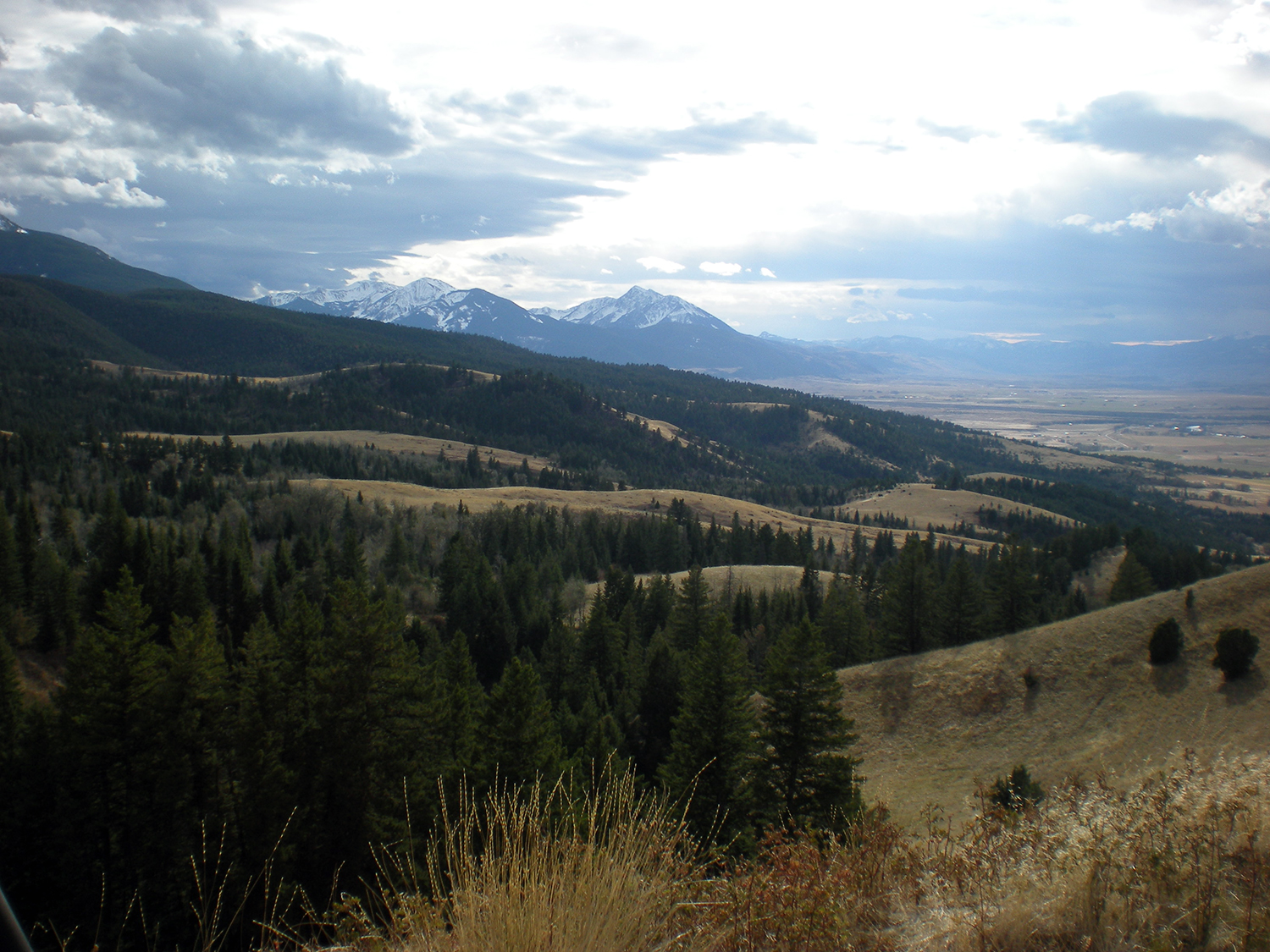 A southern view of Paradise Valley