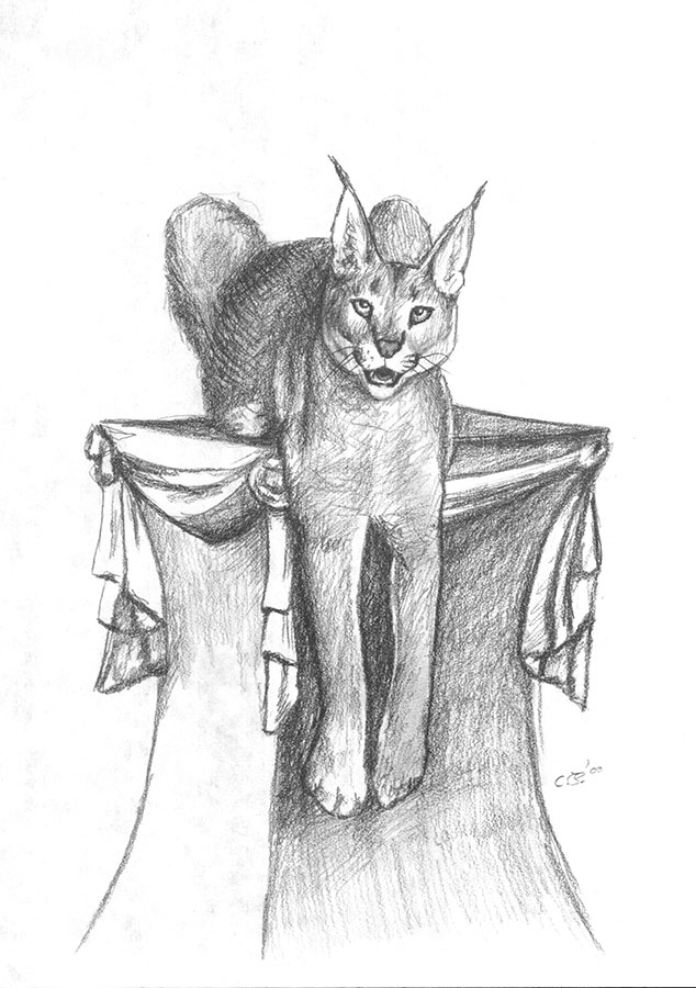 This is what I always imagined Werecats looking like. - r/Eragon.