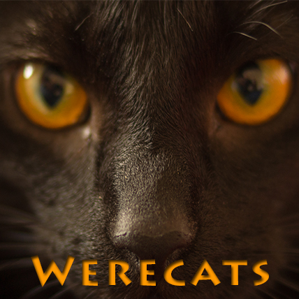 werecats party and craft ideas