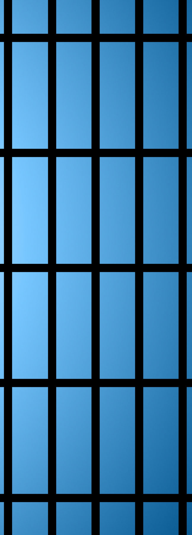 Prison Bars