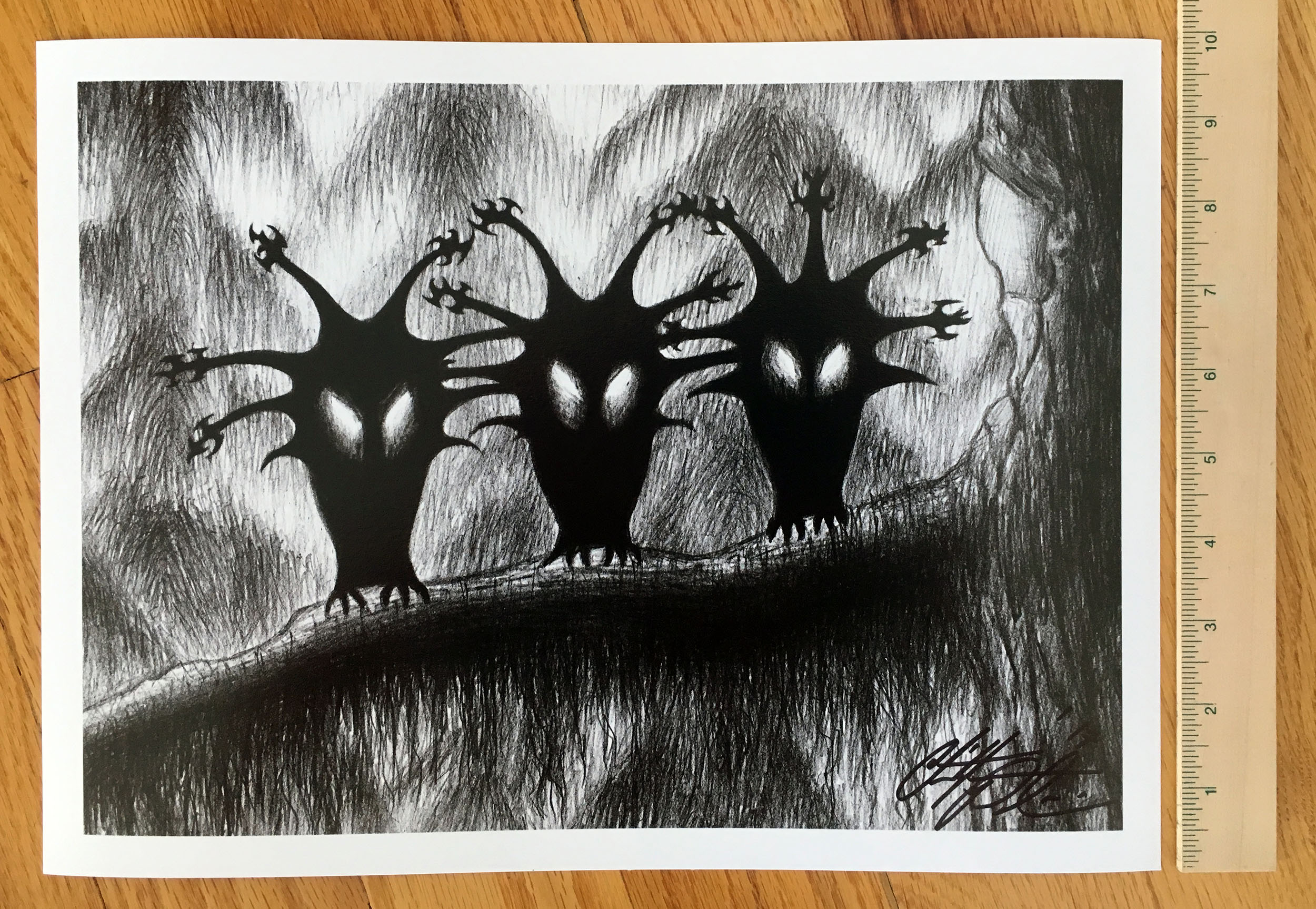 Shadow Birds, by Chrisotpher Paolini. Print. Height measurement.