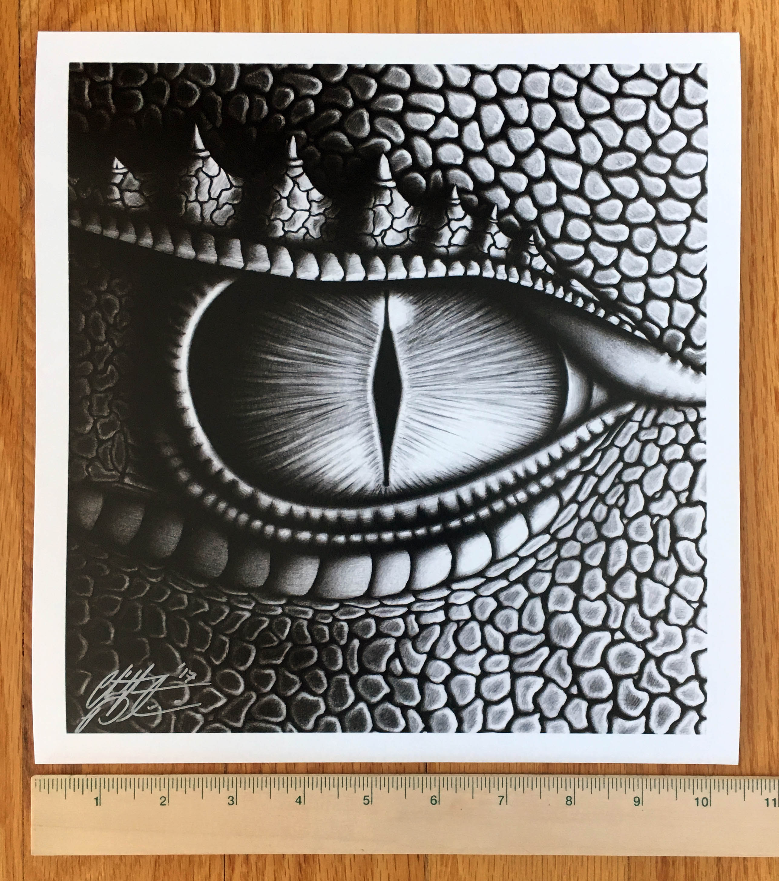 Saphira's Eye, by Christopher Paolini. Print. Width measurement.