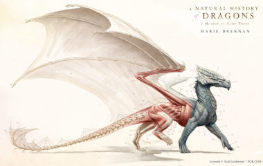 A Natural History of Dragons, by Marie Brennan, wallpaper