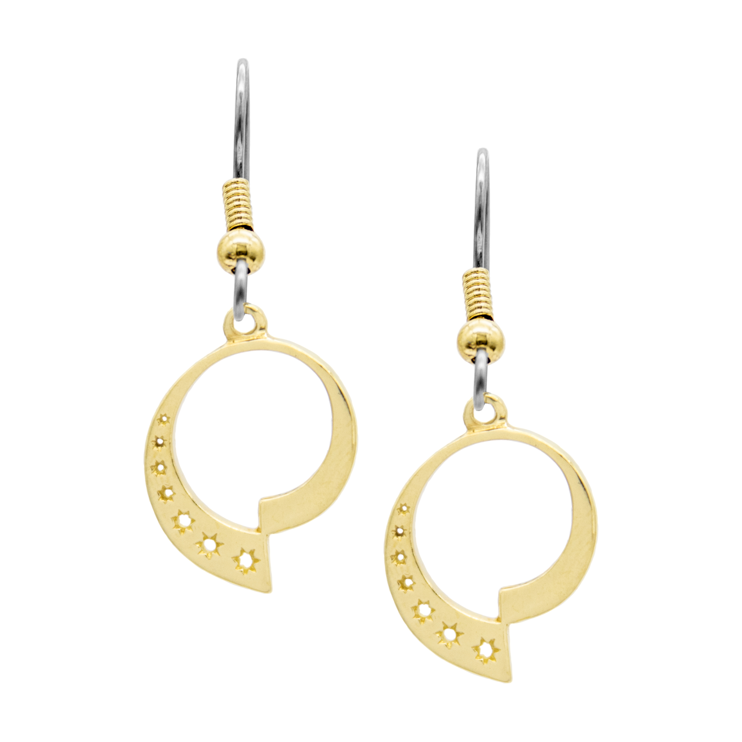 Fractalverse earrings
